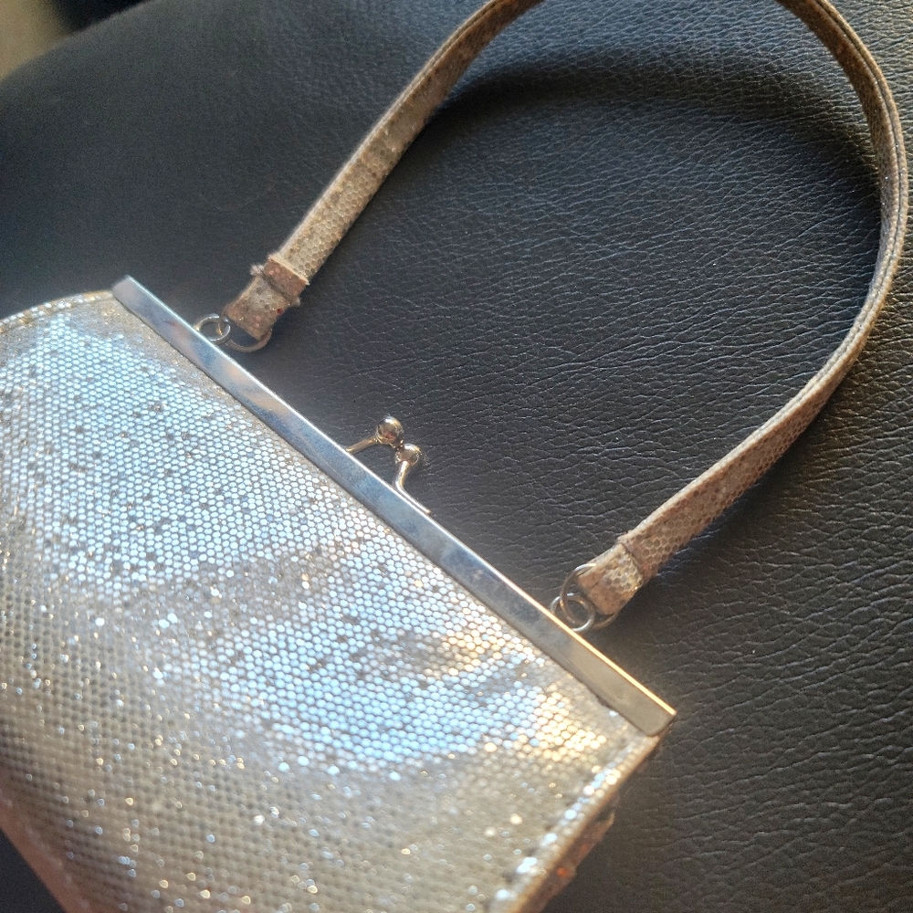 Elegant Silver Special Occasion Purse